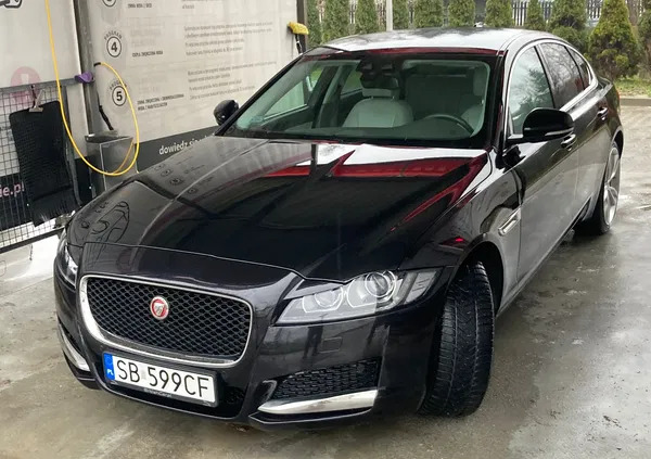 jaguar xf małopolskie Jaguar XF cena 76999 przebieg: 148000, rok produkcji 2017 z Oświęcim